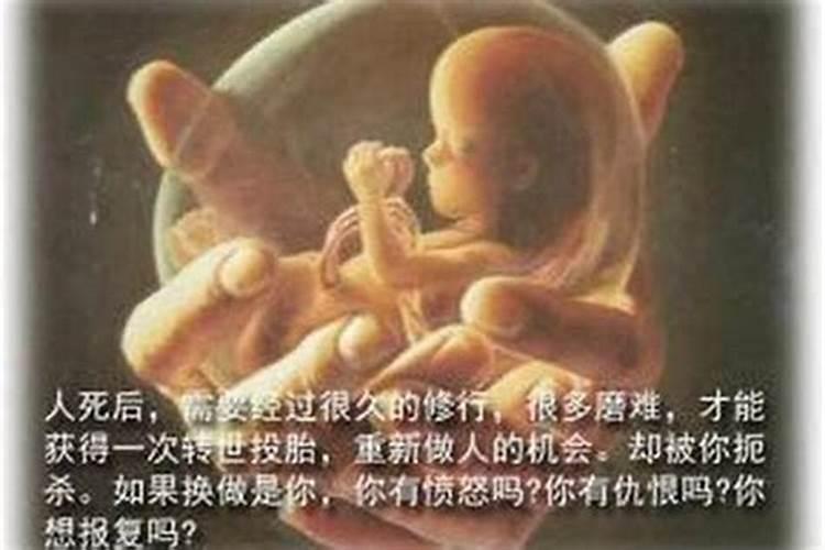怎样给堕胎婴儿超度？