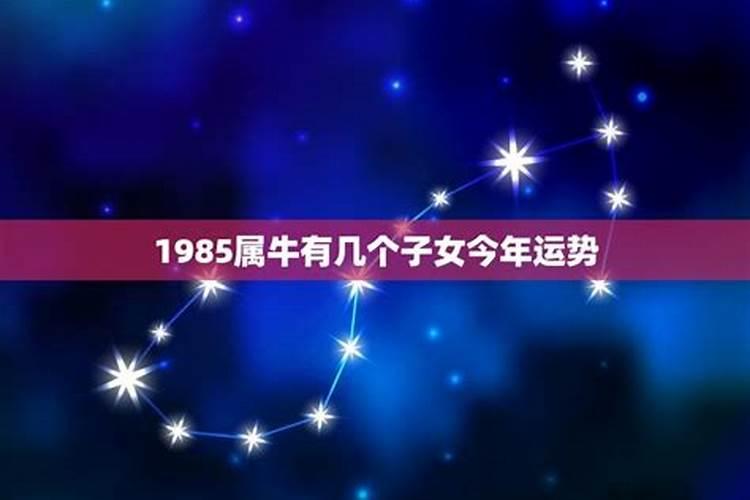 1985年今年七月运程